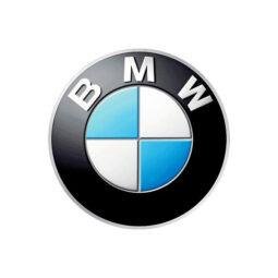 BMW engines